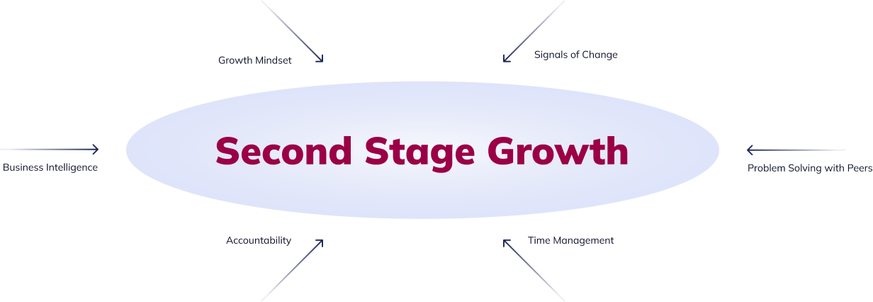 Elevate your Business with SEcond Stage Growth